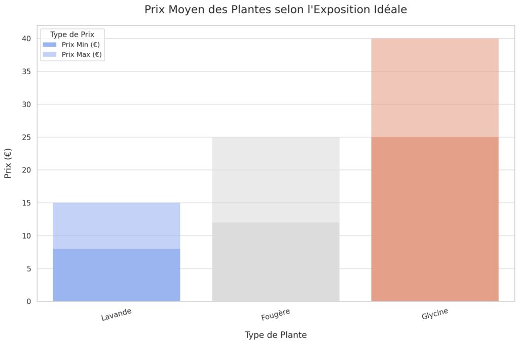 Végétalisation et décoration de la terrasse Végétalisation et décoration de la terrasse